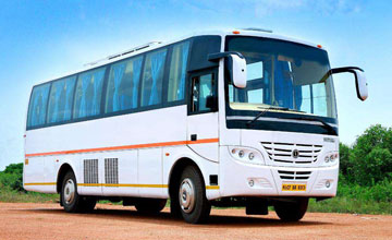 31 Seater Bus Rentals